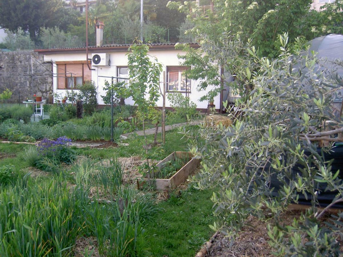 Apartman Thea Apartment Opatija Exterior photo